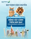 THÔNG BÁO VỀ VIỆC VẬN CHUYỂN ĐỘNG VẬT CẢNH CỦA BAMBOO AIRWAYS